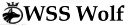 logo-wss-dunkel
